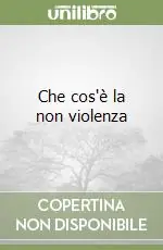 Che cos‘è la non violenza Quantità Limitata