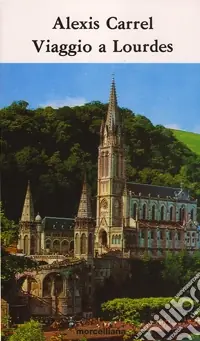 Occasione Viaggio a Lourdes. Frammenti di diario. Meditazioni