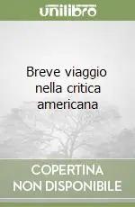 Breve viaggio nella critica americana Occasione Imperdibile
