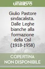 Giulio Pastore sindacalista. Dalle Leghe bianche alla formazione della Cisl (1918-1958) Promozione