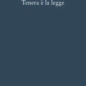 Tenera è la legge Pagamento Sicuro