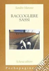 Raccogliere sassi Offerta Lampo