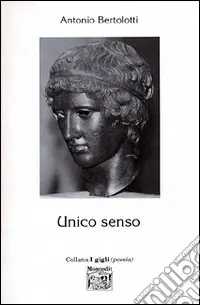 Unico senso Professionale