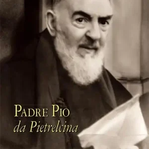 Affare Epistolario. Vol. 2 Corrispondenza con la nobildonna Raffaelina Cerase (1914-1915)