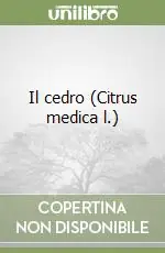 Il cedro (Citrus medica l.) Economico