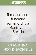 Il monumento funerario romano di via Mantova a Brescia Professionale