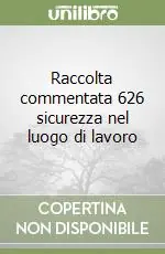 Raccolta commentata 626 sicurezza nel luogo di lavoro Offerta Lampo