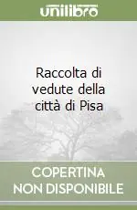 Professionale Raccolta di vedute della città di Pisa