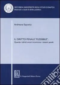 Offerta Lampo Il diritto penale «flessibile». Quando i diritti umani incontrano i sistemi penali
