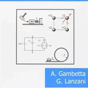 Vendita Finale Quiz di fisica generale