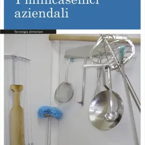 Affare Minicaseifici aziendali