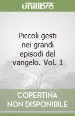 Non Perdere Piccoli gesti nei grandi episodi del vangelo. Vol. 1