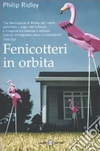 Affare Fenicotteri in orbita