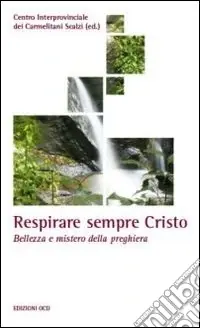 Respirare sempre Cristo. Bellezza e mistero della preghiera Più Venduto