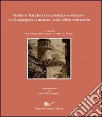 Italia e Turchia tra passato e futuro. Un impegno comune, una sfida culturale Compra Online