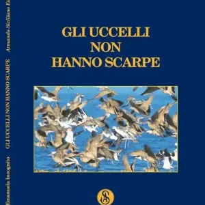 Soddisfatti O Rimborsati Gli uccelli non hanno scarpe