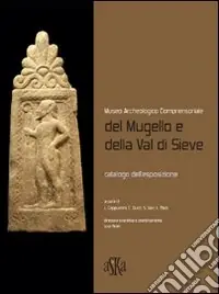 Museo archeologico comprensoriale del Mugello e della Val di Sieve Saldi
