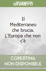 Il Mediterraneo che brucia. L‘Europa che non c‘è Pagamento Sicuro