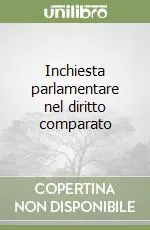 Pagamento Sicuro Inchiesta parlamentare nel diritto comparato