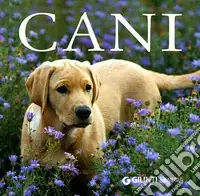 Must-Have I cani. Ediz. illustrata
