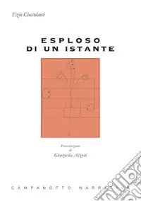 Bestseller Esploso di un istante