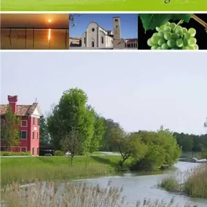 Lands of eastern Veneto Spedito Oggi
