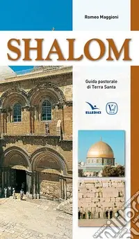 Ultima Occasione Shalom. Guida pastorale di Terra Santa