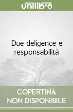 Due deligence e responsabilità Ultima Occasione