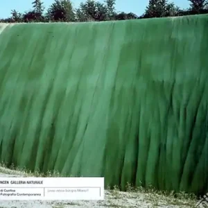 Galleria naturale. Ediz. italiana e inglese Subito Disponibile