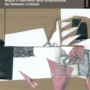 Super Prezzo L‘Investigatore criminologo. Analisi e intervento nella comprensione dei fenomeni criminali
