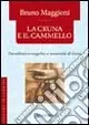 Popolare La cruna e il cammello. Percorsi evangelici e umanità di Gesù
