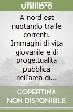 Economico A nord-est nuotando tra le correnti. Immagini di vita giovanile e di progettualità pubblica nell‘area di Conegliano-Quartier del Piave