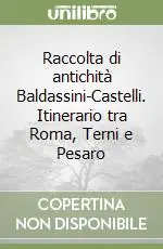 Raccolta di antichità Baldassini-Castelli. Itinerario tra Roma, Terni e Pesaro Prezzo Basso