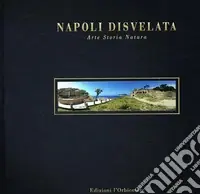 Napoli disvelata. Arte, storia, natura. Ediz. italiana e inglese Ultime Pezzi