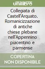 Occasione Collegiata di Castell‘Arquato. Romanicizzazione di antiche chiese plebane nell‘Appennino piacentino e parmense