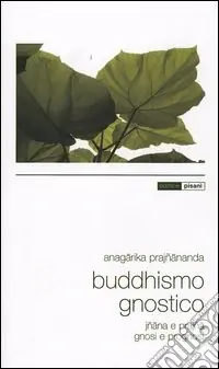 Nuova Collezione Buddhismo gnostico. Iñana e Prajña. Gnosi e prognosi