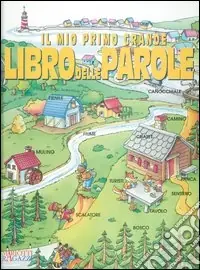 Il mio primo grande libro delle parole Subito Disponibile
