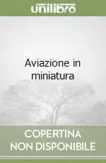Aviazione in miniatura Offerta Lampo