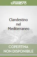 Clandestino nel Mediterraneo Professionale