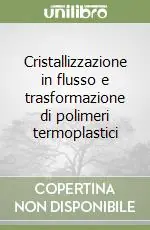 Soddisfatti O Rimborsati Cristallizzazione in flusso e trasformazione di polimeri termoplastici