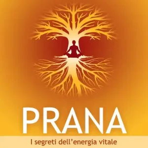 Sconto Prana. I segreti dell‘energia vitale