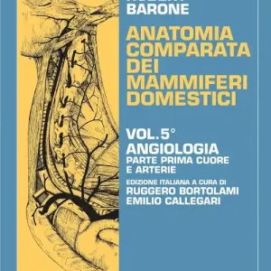 A Buon Prezzo Anatomia comparata dei mammiferi domestici. Vol. 5/1 Angiologia. Cuore e arterie