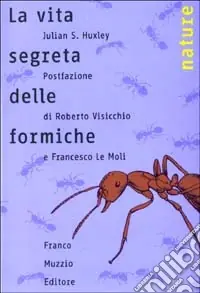 La vita segreta delle formiche Ultime Pezzi