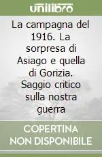 La campagna del 1916. La sorpresa di Asiago e quella di Gorizia. Saggio critico sulla nostra guerra A Buon Prezzo