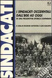 Promozione I sindacati occidentali dall‘800 ad oggi in una prospettiva storica comparata