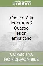 Che cos‘è la letteratura? Quattro lezioni americane Offerta Lampo