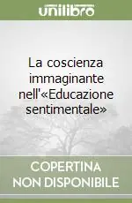 Acquista Ora La coscienza immaginante nell‘«Educazione sentimentale»