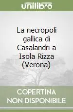 Soddisfatti O Rimborsati La necropoli gallica di Casalandri a Isola Rizza (Verona)