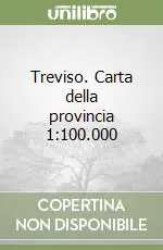 Treviso. Carta della provincia 1 100.000 Affare