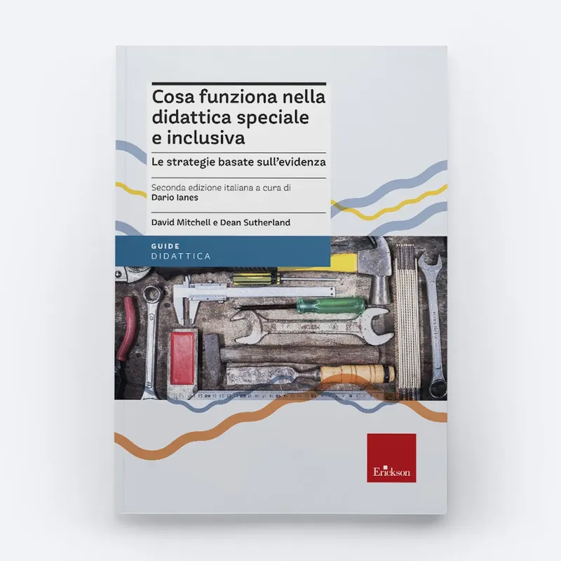 Cosa funziona nella didattica speciale e inclusiva Ultimissimo Modello